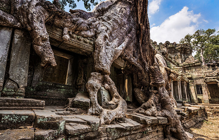 48-197-Ta Phrom in Angkor